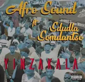 Afro Sound - Yinzakala ft. Sdudla Somdantso